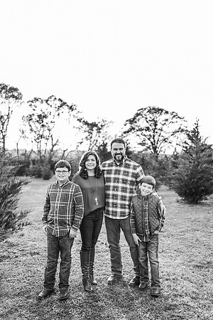 Tree Farm 2024-Wilson-455-2