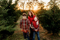 Tree Farm 2024-Wilson-18
