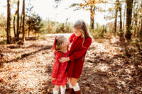 Fall Minis-2024-22