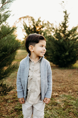 Tree Farm 2024-Melo-528