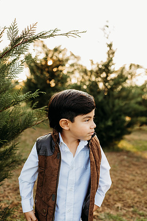 Tree Farm 2024-Melo-279