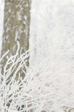 Tessa Wintet 2024-281
