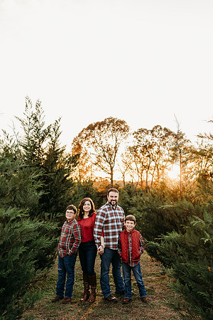 Tree Farm 2024-Wilson-241