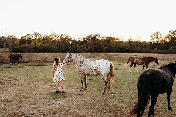 Harper and Hallie-899
