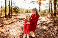 Fall Minis-2024-12