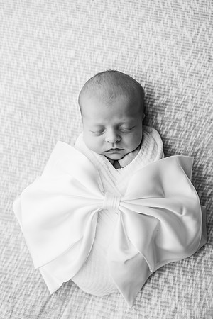 Newborn-Stockton-127-2