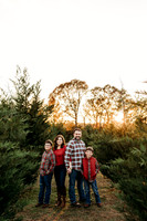 Tree Farm 2024-Wilson-46