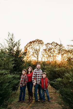 Tree Farm 2024-Wilson-46
