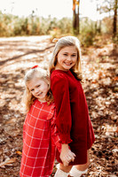 Fall Minis-2024-16