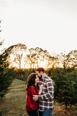 Tree Farm 2024-Wilson-407