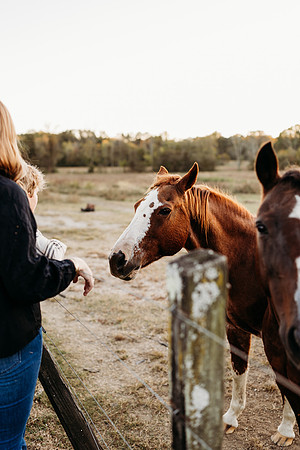 Harper and Hallie-928
