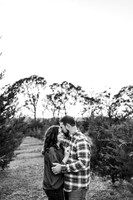 Tree Farm 2024-Wilson-29