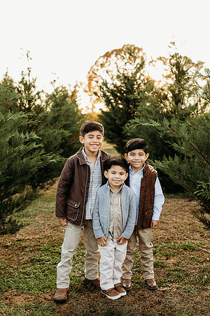 Tree Farm 2024-Melo-236