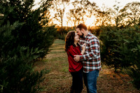 Tree Farm 2024-Wilson-85