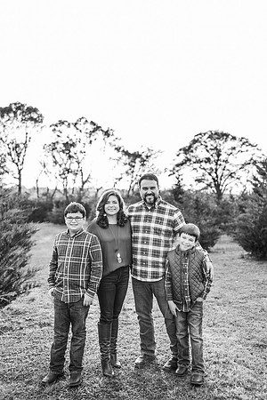 Tree Farm 2024-Wilson-441
