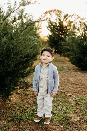 Tree Farm 2024-Melo-365