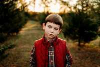 Tree Farm 2024-Wilson-11
