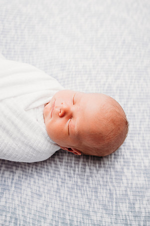 Newborn-Freeman-244