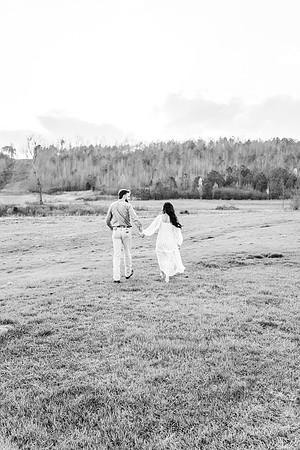 Marcus + Zoe Proposal_-4