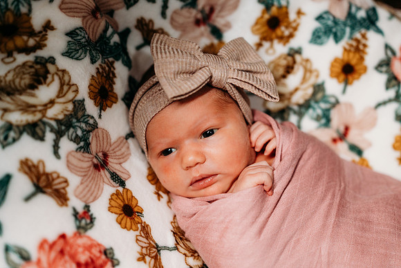 Newborn-Carter-584
