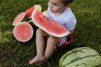 Ty + Watermelon 2025-73