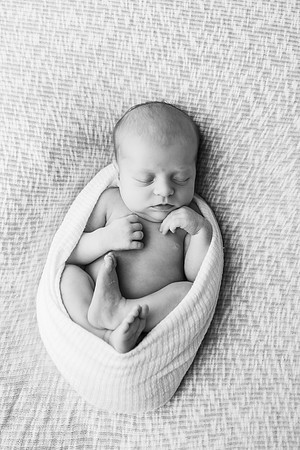 Newborn-Stockton-151-2