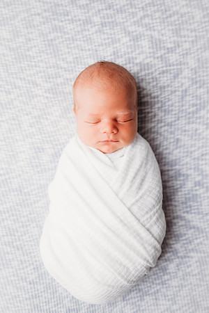 Newborn-Freeman-236