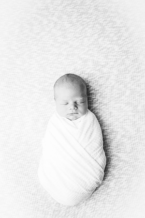 Newborn-Freeman-242-2