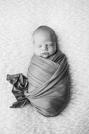 Newborn-Freeman-299-2