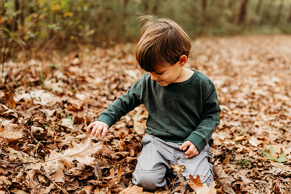 Fall Minis-2024-1616