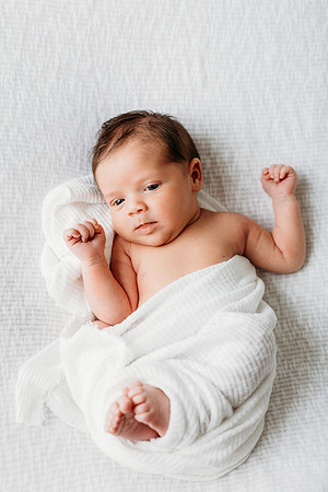 Freeman Newborn 2024-751