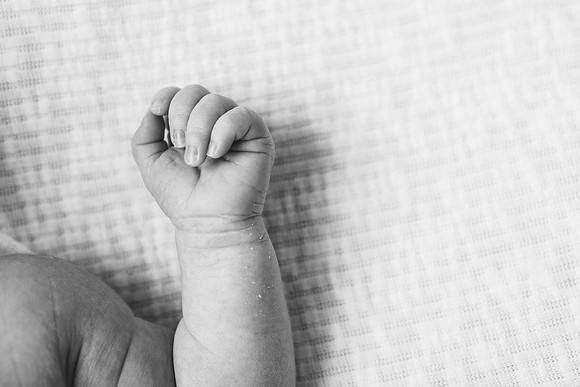 Freeman Newborn 2024-742-2