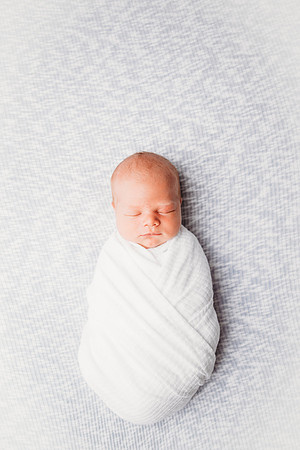 Newborn-Freeman-242