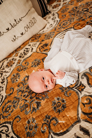 Newborn-Maples-43