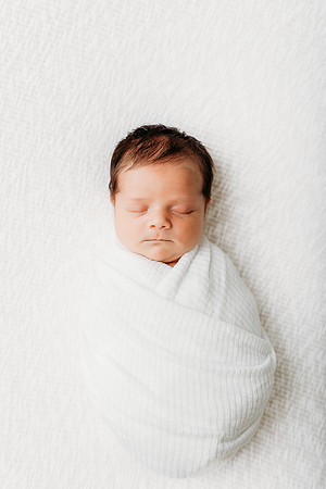 Freeman Newborn 2024-634