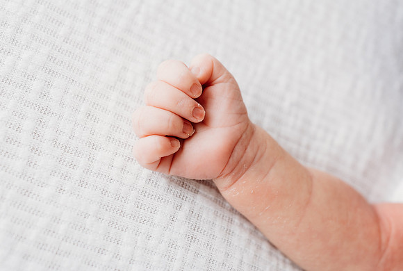 Freeman Newborn 2024-718