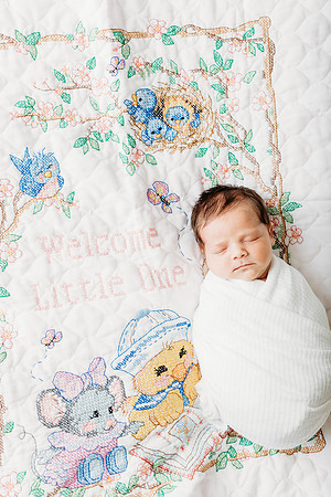 Freeman Newborn 2024-664
