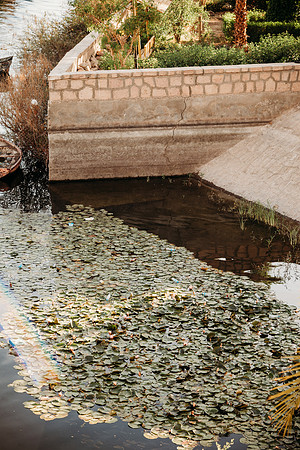 ?Egypt-15-2