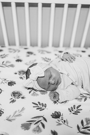 Newborn-Carter-528