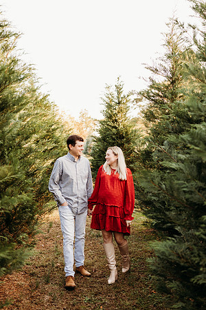 Tree Farm 2024-Ford-102