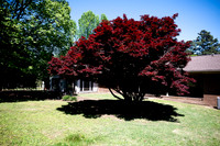 1600 Summit Dr-18