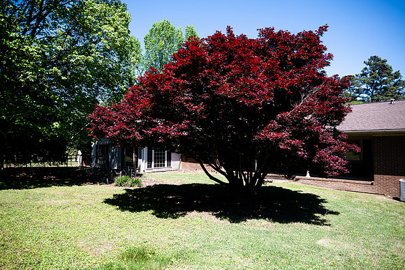 1600 Summit Dr-18