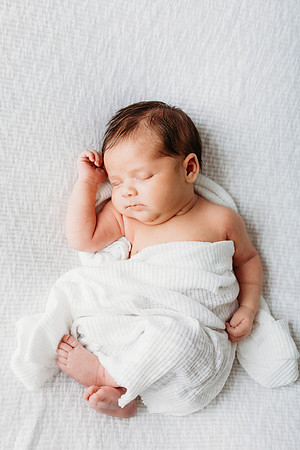Freeman Newborn 2024-728