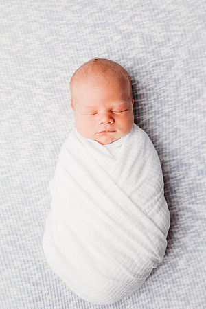 Newborn-Freeman-240