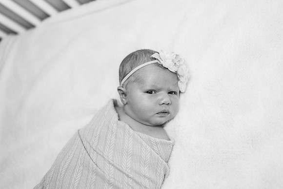 Newborn-Carter-698-2