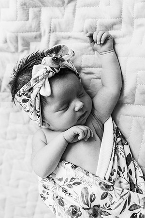 Wills Newborn-639-2
