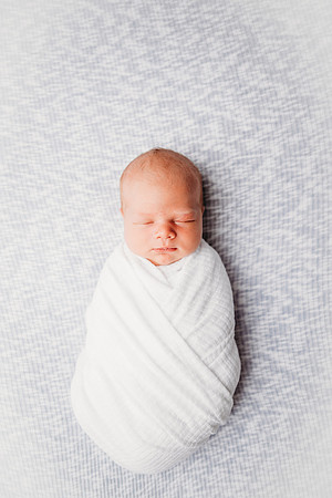 Newborn-Freeman-253