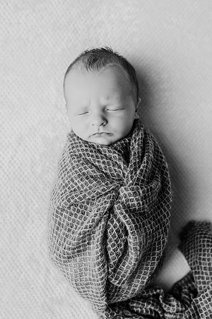 Newborn-Gilchrist-22-2