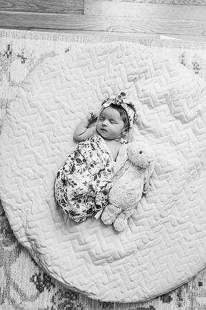 Wills Newborn-395-2