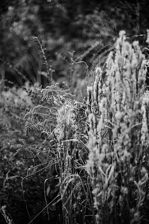 untitled-465-2